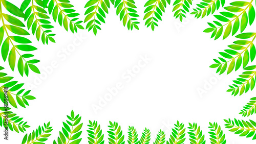 Green leaf png, Green leaf transparent, green leaves frame