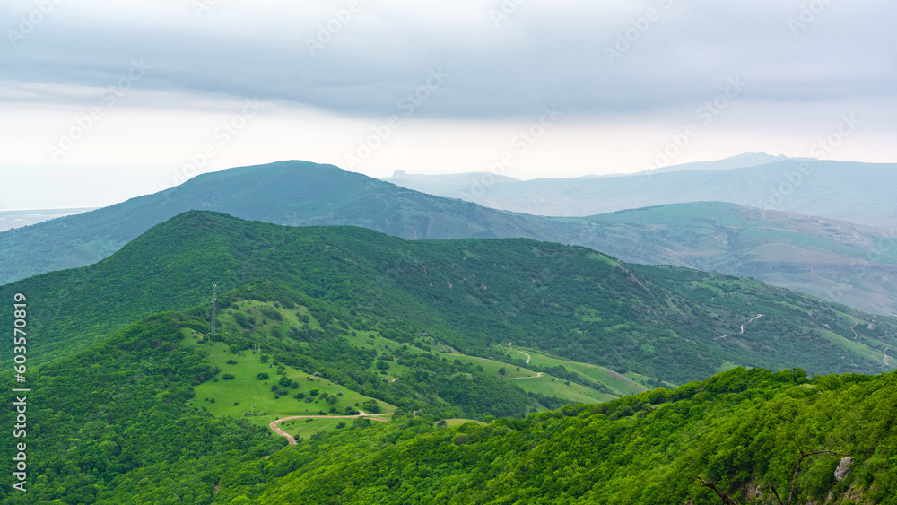 Mountains covered with dense green forest landscape