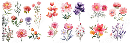 Set of beautiful flower ,Watercolor collection of hand drawn flowers , Botanical plant illustration transparent background, PNG ,Generative AI