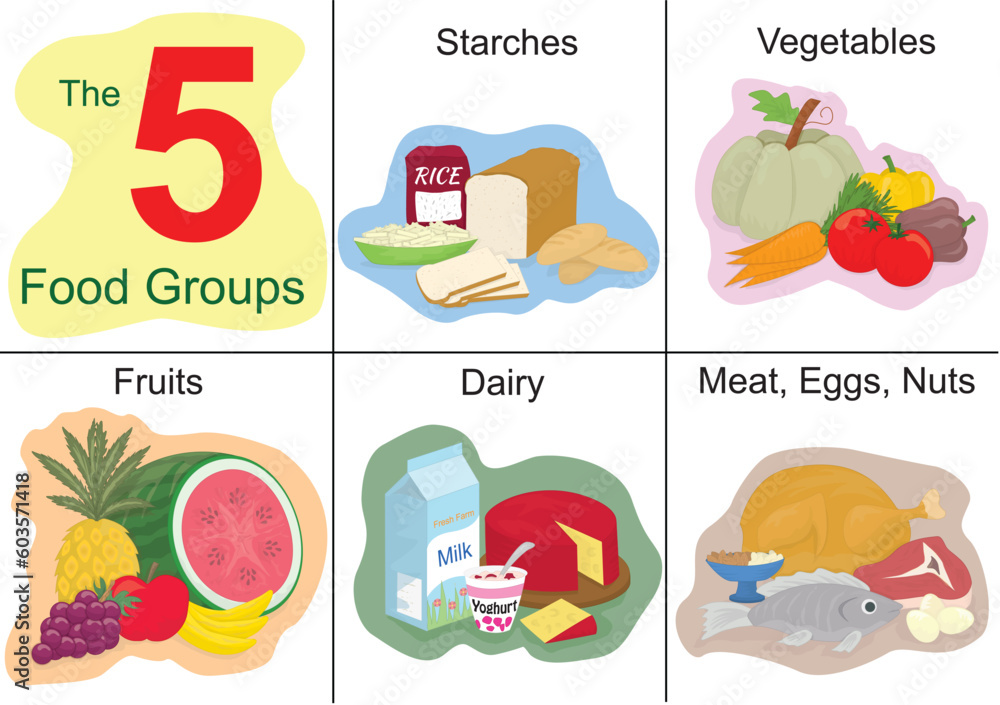 Five food groups. Cartoon coloured Five food groups. Cartoon coloured