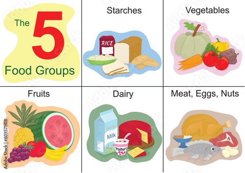 Five food groups. Cartoon coloured