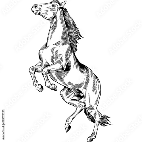 Hand drawn Horse Jumping Sketch Illustration