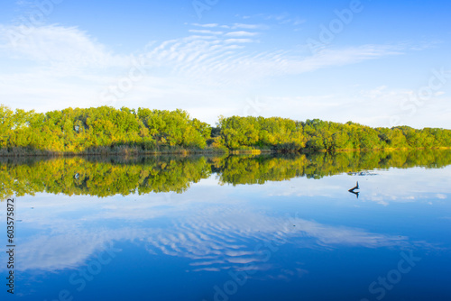 Calm water of lake, river, forest on other side. landscape. nature background. Calm water of river or lake and in background the reflection of forest of trees on surface of calm water, Calm concept.
