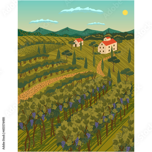 Vineyard field vector grape wine plantation scene
