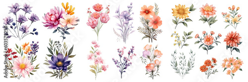 Set of beautiful flower ,Watercolor collection of hand drawn flowers , Botanical plant illustration transparent background, PNG ,Generative AI © HappyTime 17