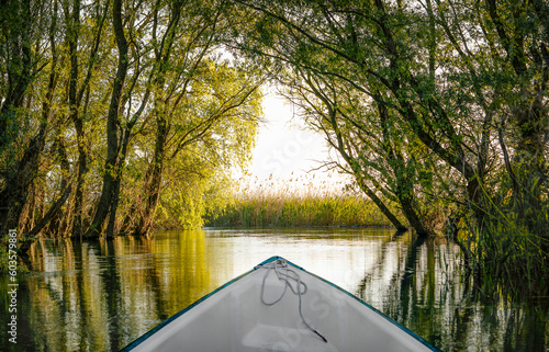 Boat in Danube Delta