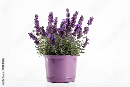 Beautiful Purple Flower Plant in Isolation on a White Background. Generative AI illustrations.