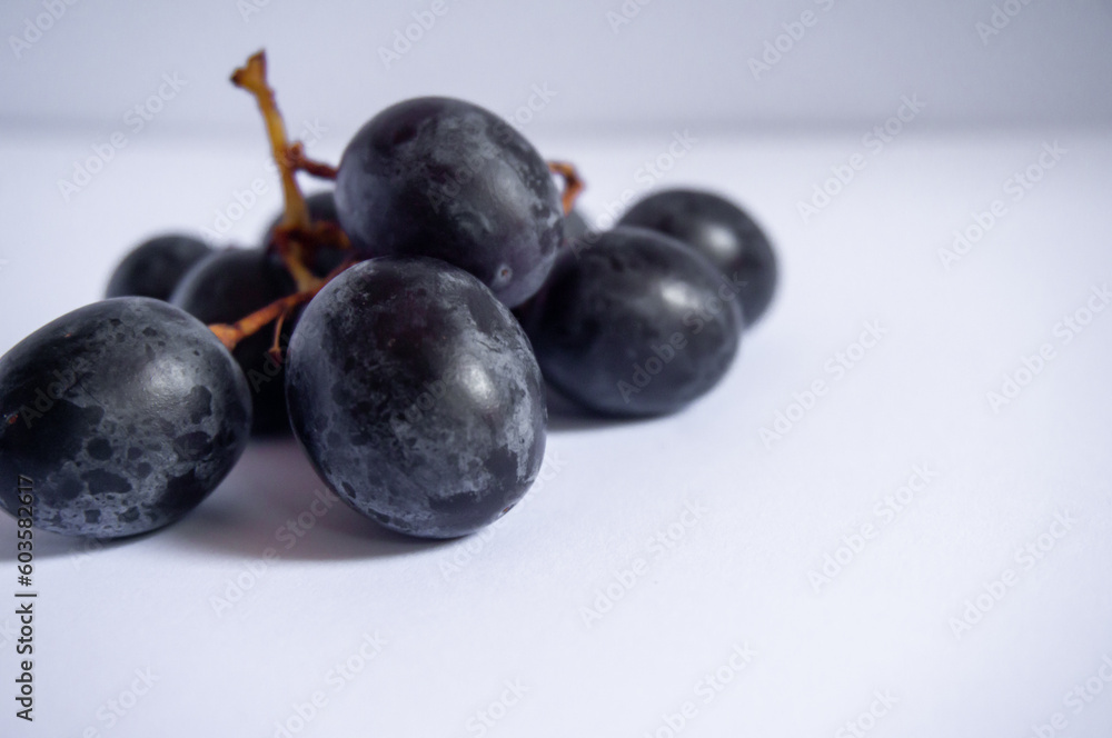 fresh black grapes for wine on a white background fresh black grapes for wine on a white background