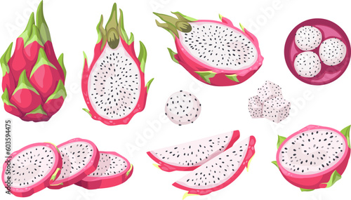 Vector collection of dragon fruit, or pitahaya, or pitahaya. Tropical exotic fruit pitaya on a white background, whole, half, pieces and balls. Isolated on white background.