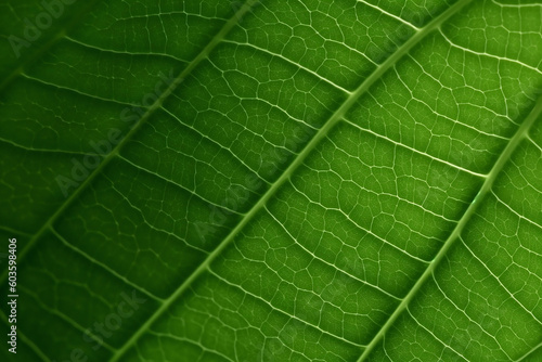 close up of green leaf texture abstract Generative AI