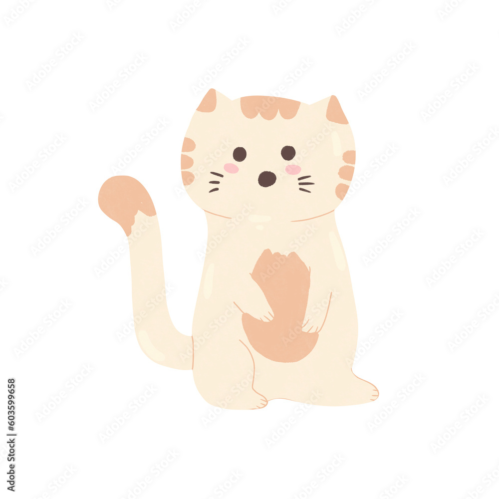 Obraz premium Set Cat