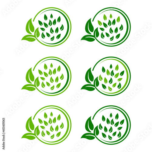 leaf icon 