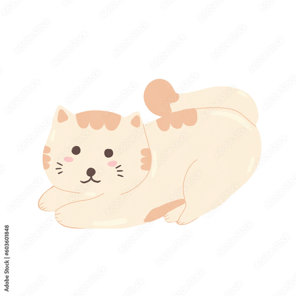 Fototapeta premium Set Cat