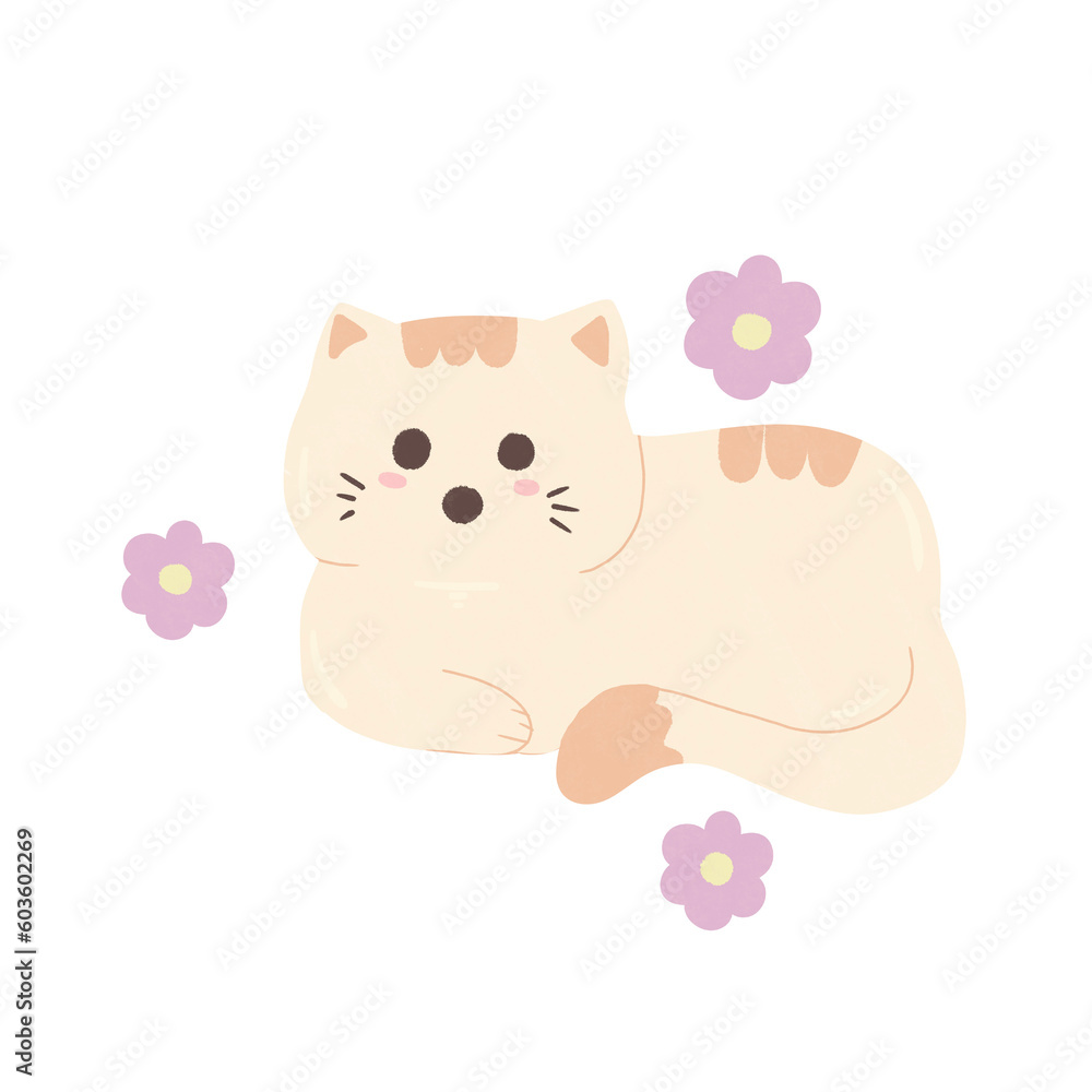 cat with heart cat with heart