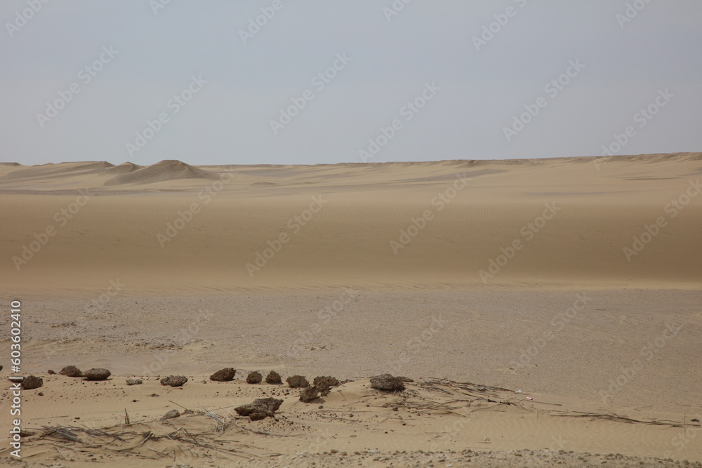 Obraz premium desert and sand dunes on a cloudy day
