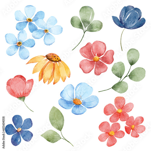 Fototapeta Naklejka Na Ścianę i Meble -  Flowers and leaves set, floral watercolor illustration for greeting card, invitation and other printing design. Isolated on white. Hand drawing.