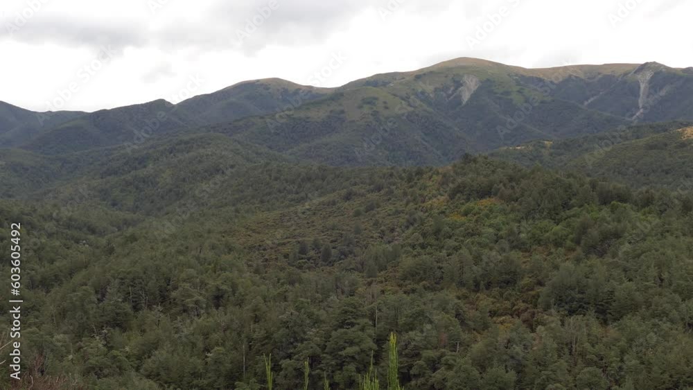 Slow pan across native bush and surrounding hills on a cloudy day - Ryde Falls Track, Oxford Conservation Area (New Zealand) Slow pan across native bush and surrounding hills on a cloudy day - Ryde Falls Track, Oxford Conservation Area (New Zealand)