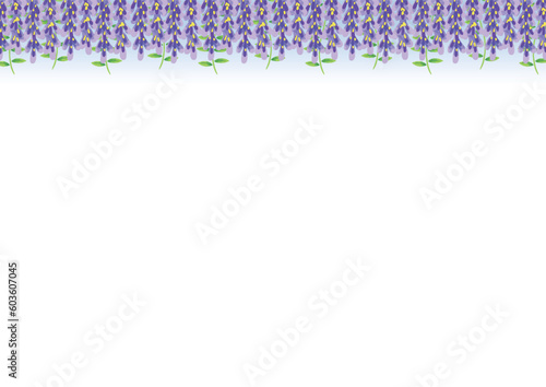 涼しげな藤の花の手描きベクターイラスト