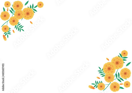 マリーゴールドの花の手描きベクターイラスト