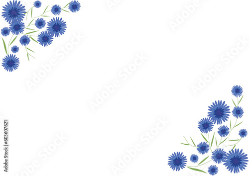 青い矢車草の手描きベクターイラスト