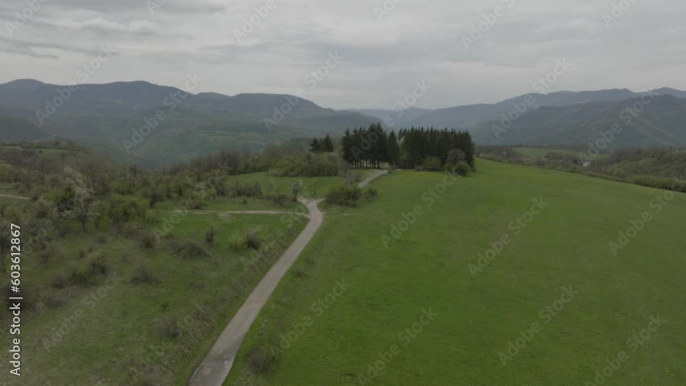 Aerial view over field with a mountain background.
Aerial view over field with a mountain background.