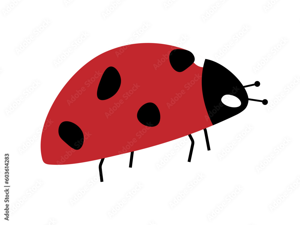 Fototapeta premium Red ladybug with black spots, close-up, isolated, on a transparent and white background. Icon, element for design decoration. Vector illustration, image, graphic design.