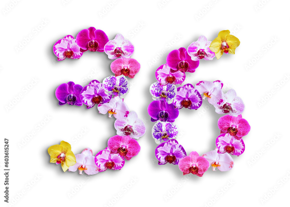 The shape of the number 36 is made of various kinds of orchid flowers. suitable for birthday, anniversary and memorial day templates The shape of the number 36 is made of various kinds of orchid flowers. suitable for birthday, anniversary and memorial day templates