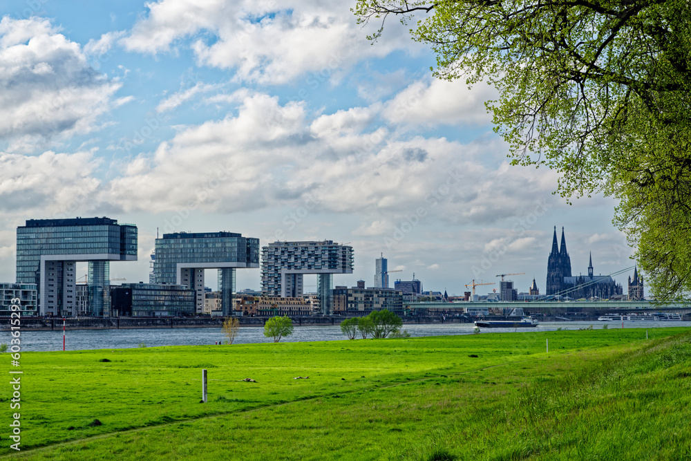 Die Kölner Skyline mit Dom und Kranhäusern