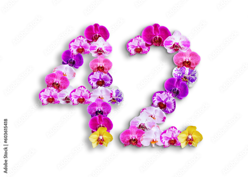 The shape of the number 42 is made of various kinds of orchid flowers. suitable for birthday, anniversary and memorial day templates