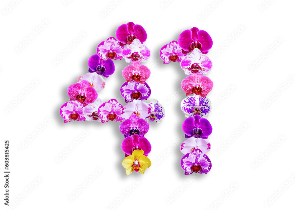 The shape of the number 41 is made of various kinds of orchid flowers. suitable for birthday, anniversary and memorial day templates The shape of the number 41 is made of various kinds of orchid flowers. suitable for birthday, anniversary and memorial day templates