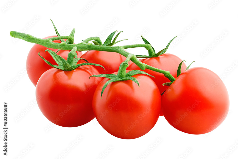 tomato cherry isolated on white background, full depth of field tomato cherry isolated on white background, full depth of field