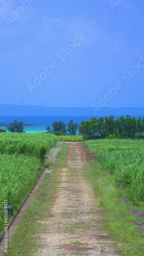沖縄　宮古島の風景