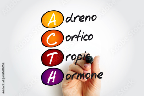 ACTH - Adrenocorticotropic hormone acronym, medical concept background photo