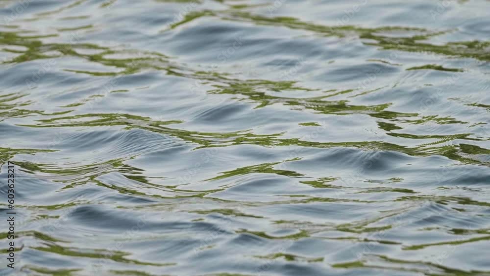 Beautiful green water texture surface with ripples, super slow motion HD footage, surface water background in lake.