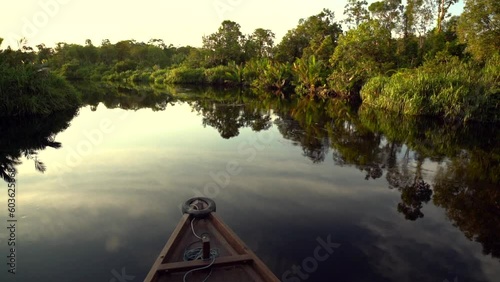 Jungle Cruise in Borneo, Tanjung Puting, Indonesia. Klotok traditional boat photo