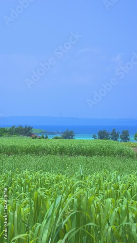 沖縄　宮古島の風景