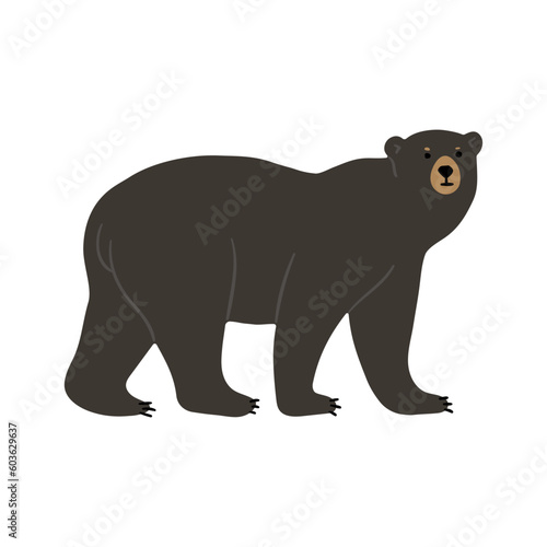 American Black Bear Single cute 2  vector illustration