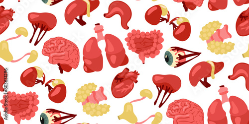 A pattern of human internal organs for operations and transplantation. Including heart, liver, kidneys, eye, bladder, pancreas brain, intestines, stomach. Flat Seamless Vector Pattern on white