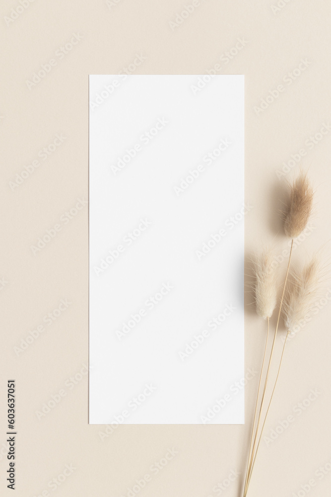 Menu card mockup with a dried lagurus decoration. 4x9 ratio. Menu card mockup with a dried lagurus decoration. 4x9 ratio.