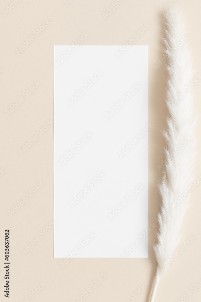 Menu card mockup with a dried pampas decoration. 4x9 ratio.