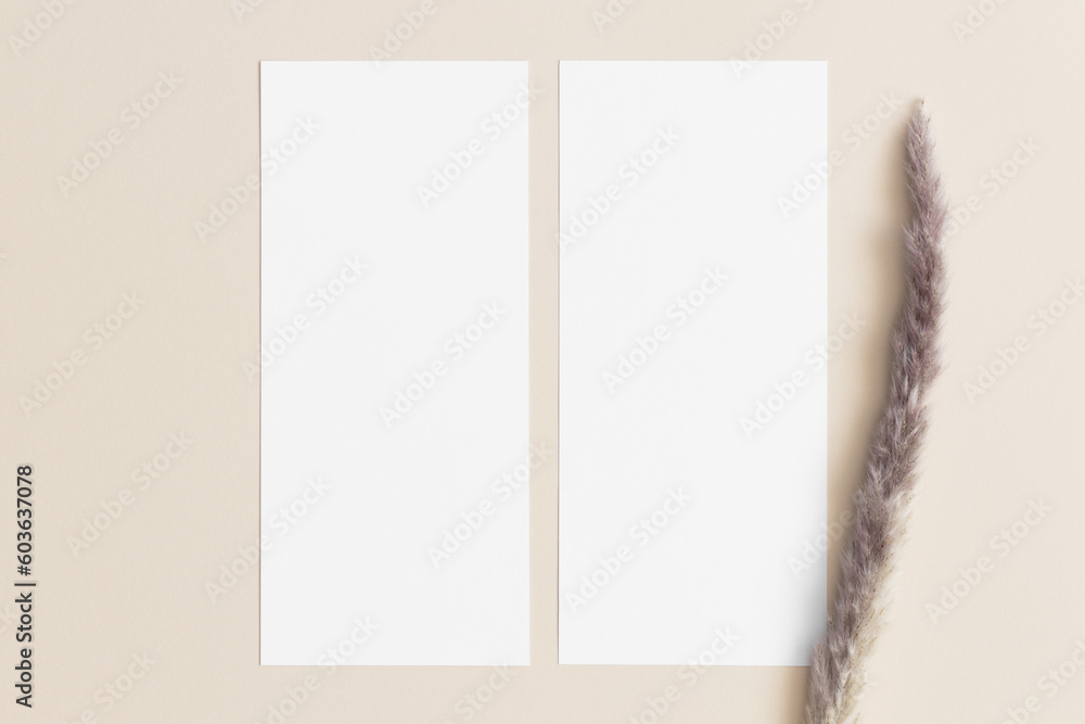 Two menu cards mockup with a pampas deocoration, 4x9 ratio. Two menu cards mockup with a pampas deocoration, 4x9 ratio.