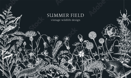 Summer design  in sketched style. Botanical drawings of wildflowers, herbs, meadows, berries, animals and birds. Vintage wildlife hand-drawn illustrations. Field plants background on chalkboard