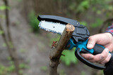 Hand holds light chain saw with battery to trim broken branch of an tree, in sunny day