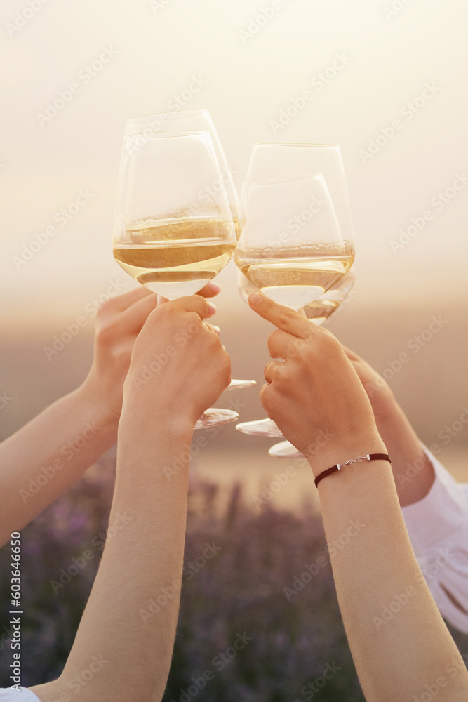 A group of women clinking with wine glasses at sunset.