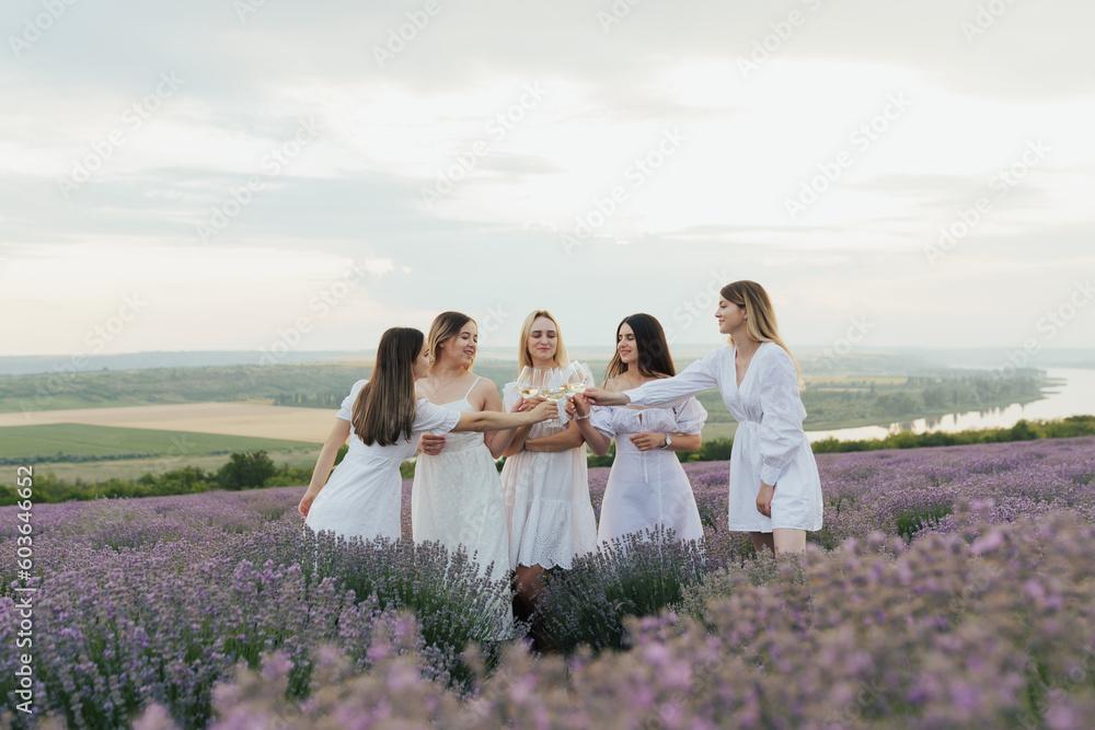 Group of girl friends with wine glasses chilling on picnic at summer day. Copy space.