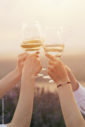 Obraz na płótnie A group of women clinking with wine glasses at sunset. w salonie