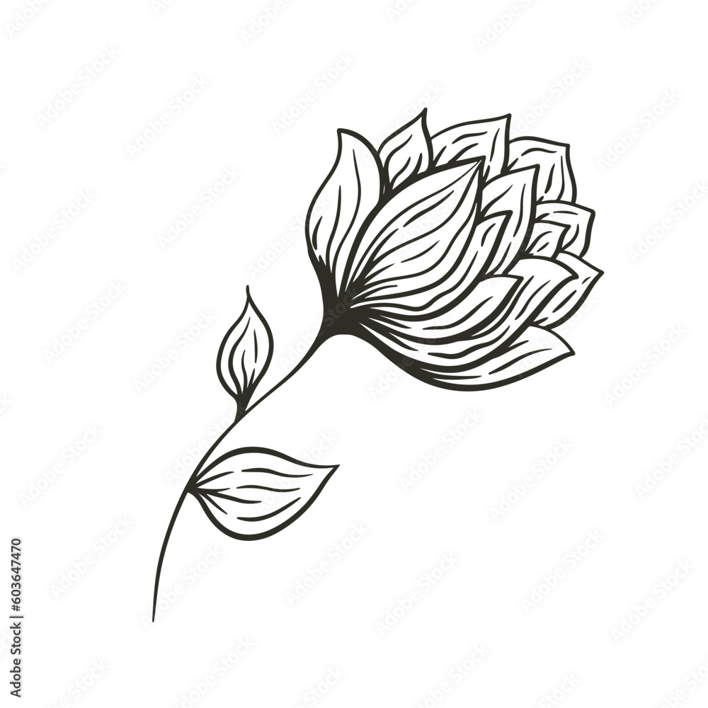 Fototapeta premium Single hand-drawn black flower isolated on white background. Sketch style illustration.