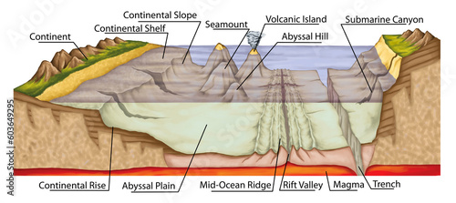 Didactic board of the ocean floor, sea floor, underwater relief, earth's oceans, bathymetry, geography, geology, continental shelf, slope and rise, abyssal plain and hill, magma, volcanic island