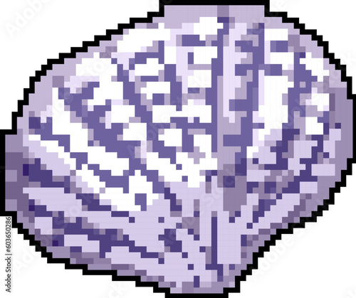 beach sea shell game pixel art retro vector. bit beach sea shell. old vintage illustration