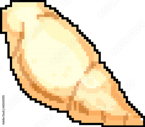 vacation sea shell game pixel art retro vector. bit vacation sea shell. old vintage illustration